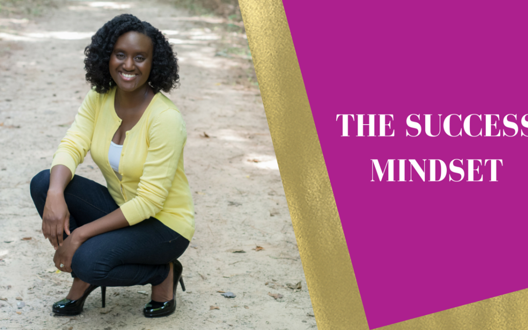 THE SUCCESS MINDSET